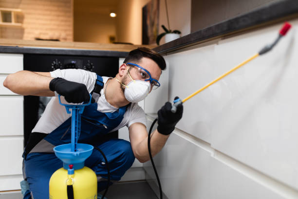 Best Commercial Pest Control Services  in St Augustine, FL
