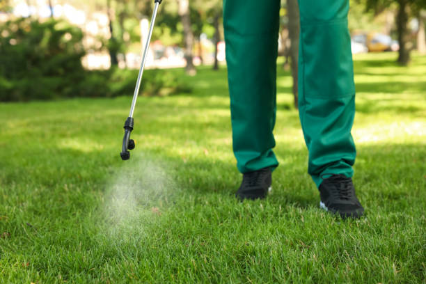 Trusted St Augustine, FL Pest Control Experts