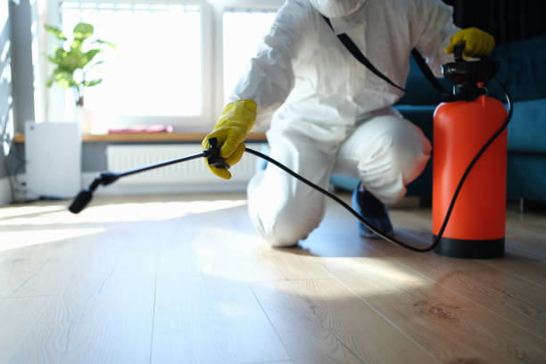 Best Termite Control Services  in St Augustine, FL