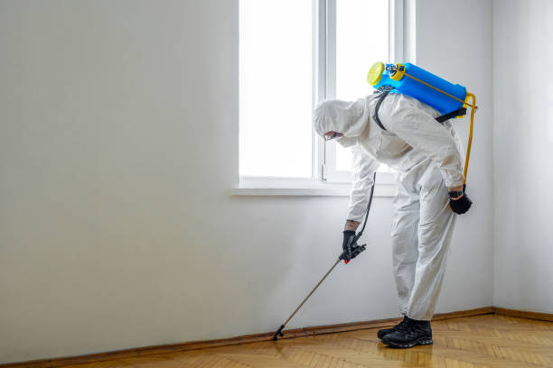 Best Cockroach Control Services  in St Augustine, FL