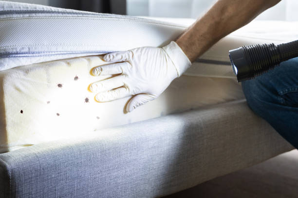Best Best Pest Control Companies  in St Augustine, FL